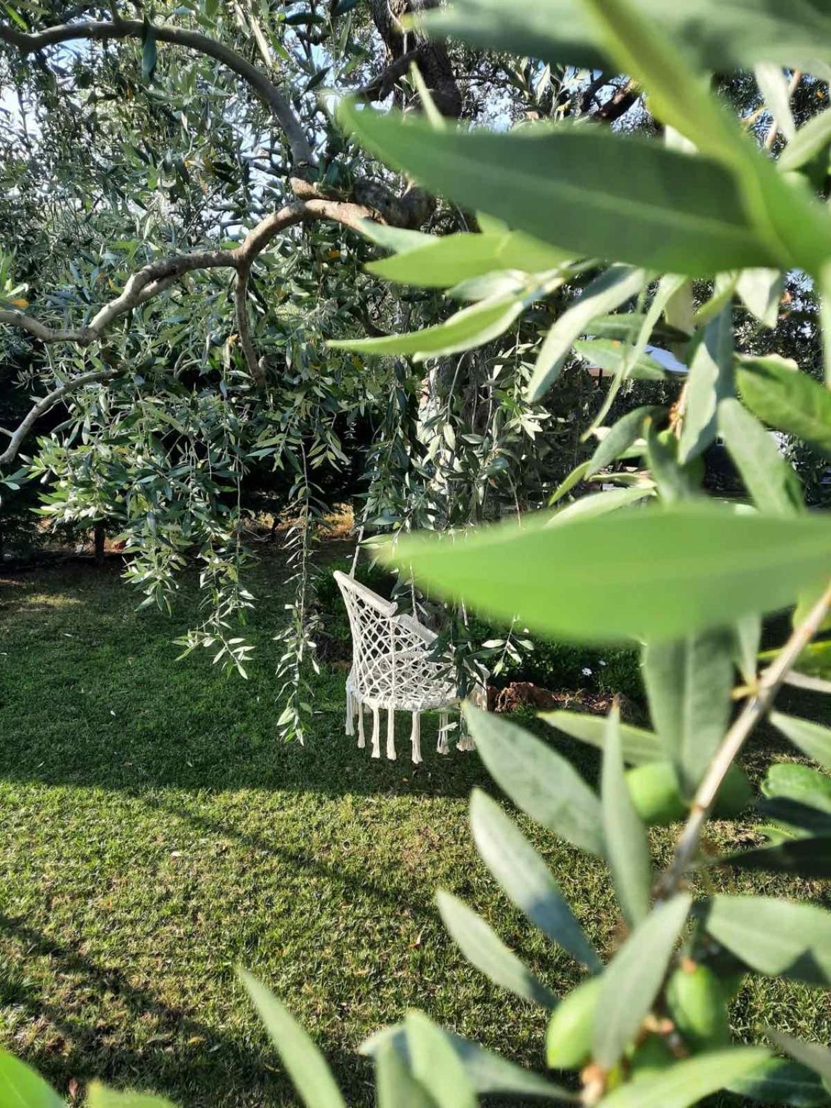 סקאלה סוטירוס Villa Elia מראה חיצוני תמונה