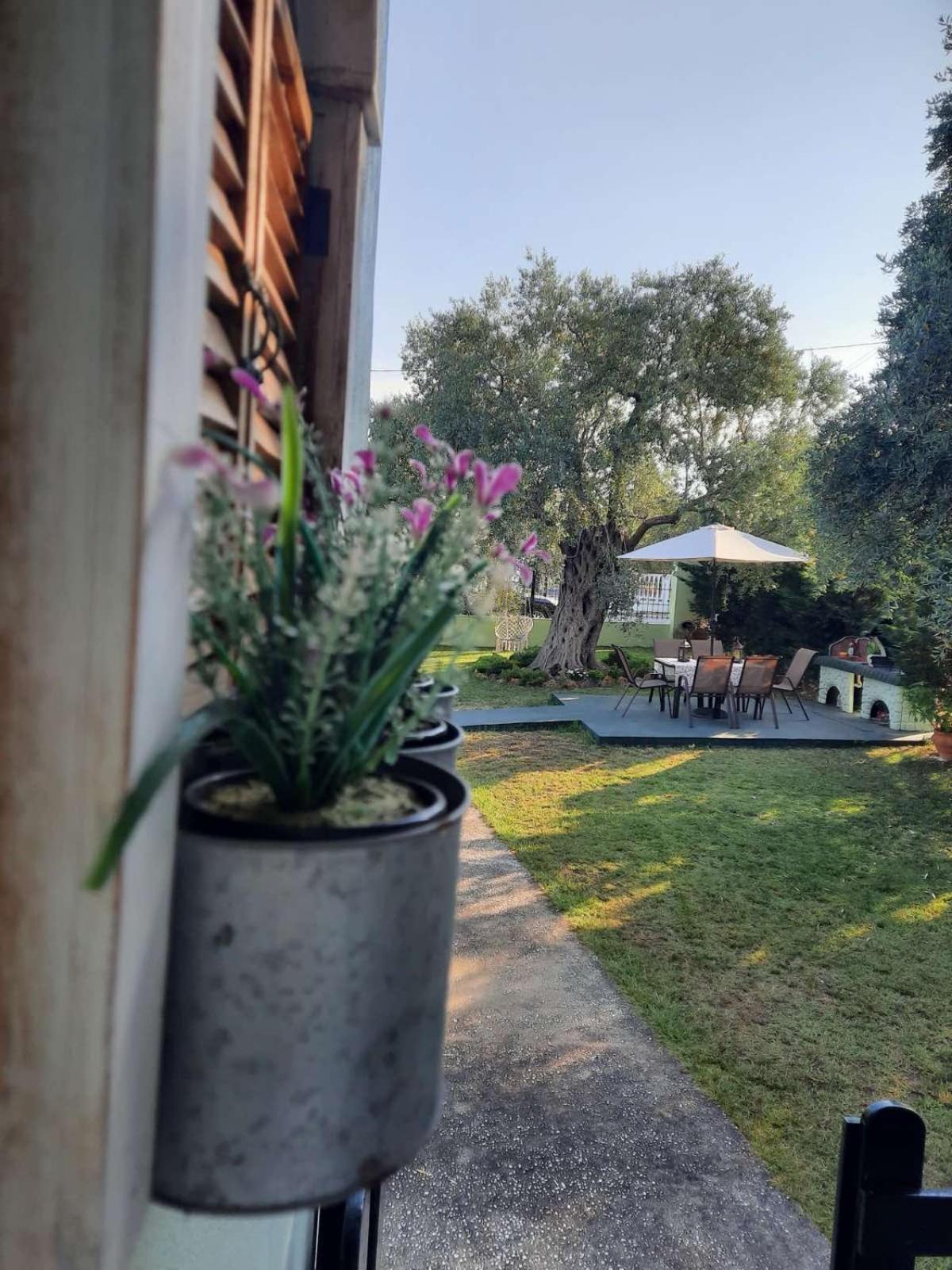 סקאלה סוטירוס Villa Elia מראה חיצוני תמונה