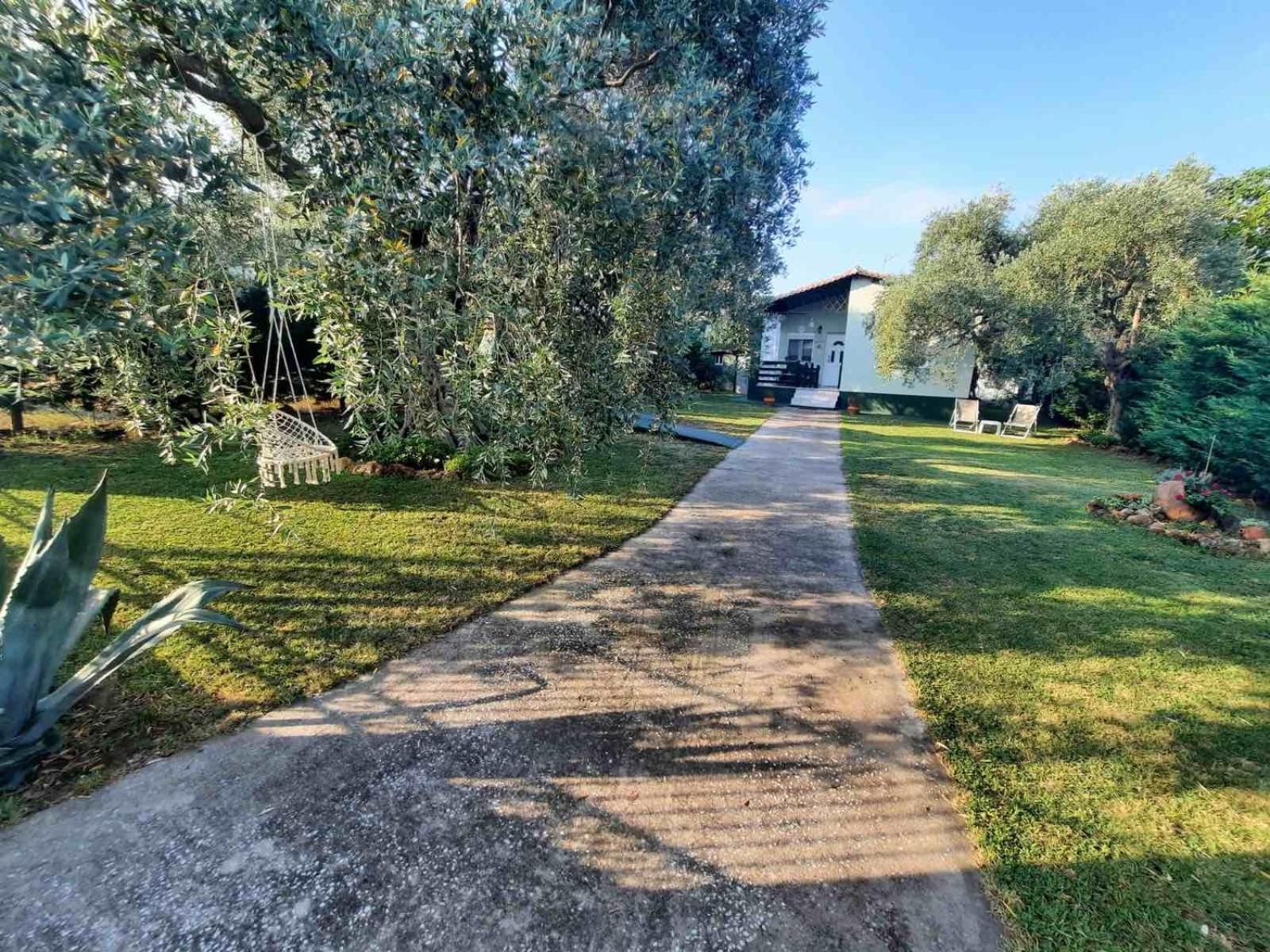 סקאלה סוטירוס Villa Elia מראה חיצוני תמונה