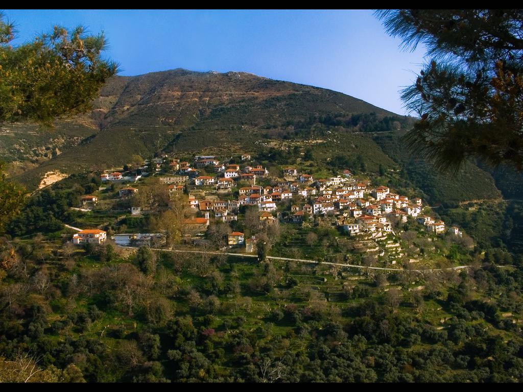 סקאלה סוטירוס Villa Elia מראה חיצוני תמונה
